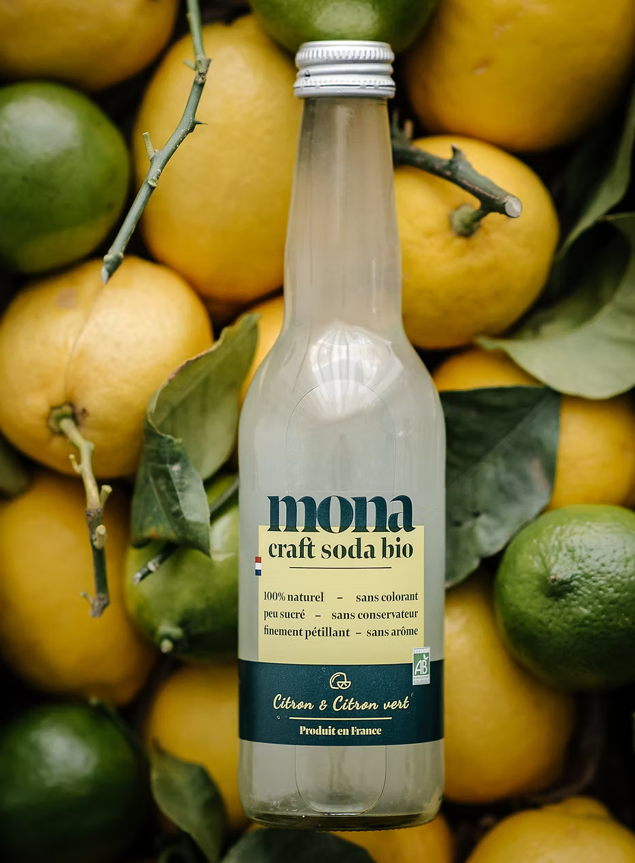 Limonade citron & citron vert bio