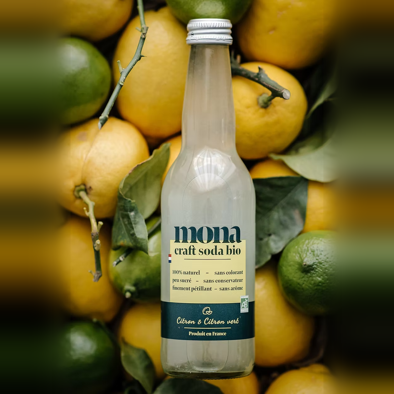 Limonade citron & citron vert bio